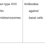 bullous_pemphigoid.png