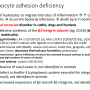 leukocyte_adhesion_deficiency.png