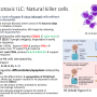 nk_cells.png