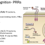 pprs2.png