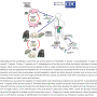 trichinella_lifecycle.png