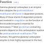gamma_carboxylation.png
