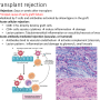 acute_graft_rejection.png