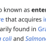 enterobactin.png