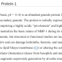 major_basic_protein.png