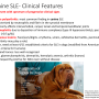 canine_sle2.png