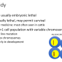 aneuploidy.png