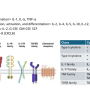 cytokines.png