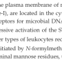 other_receptors.png