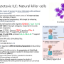 nk_cells2.png