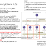 innate_lymphoid_cells.png