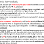 amyloid1.png