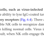 nk_cells1.png