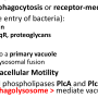 listeria_internalins.png