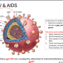 hiv1.png