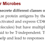 b_cell_activation.png