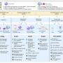 pro-resolving_inflammaiton_signals.png