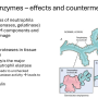 neutrophil_enzymes.png