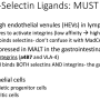l-selectin_ligands.png