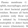 n-formylmethionine.png